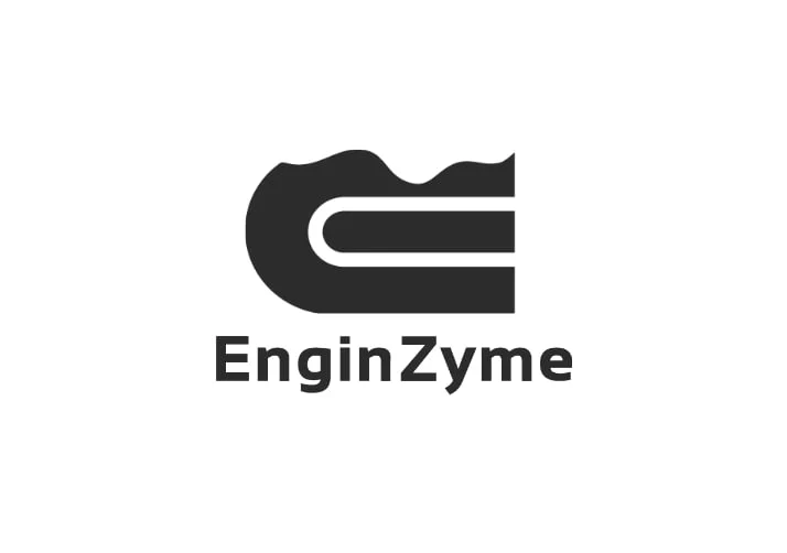 Enginzyme